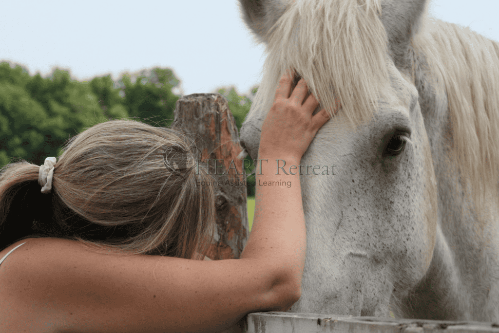 carousel 5 powerful energy with kelly seths mom Samsom wm